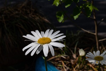 67F728B7-8516-4754-B10B-E99CC006DB3A/L0/001
