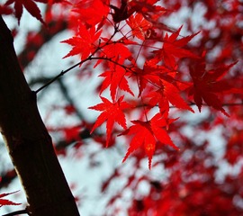 7E891218-BE8C-4712-AC9C-B94686715FF4/L0/001