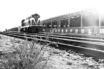 20111224-DSC03841.jpg