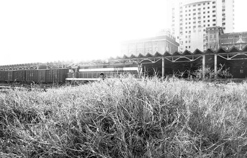 20111224-DSC03853.jpg