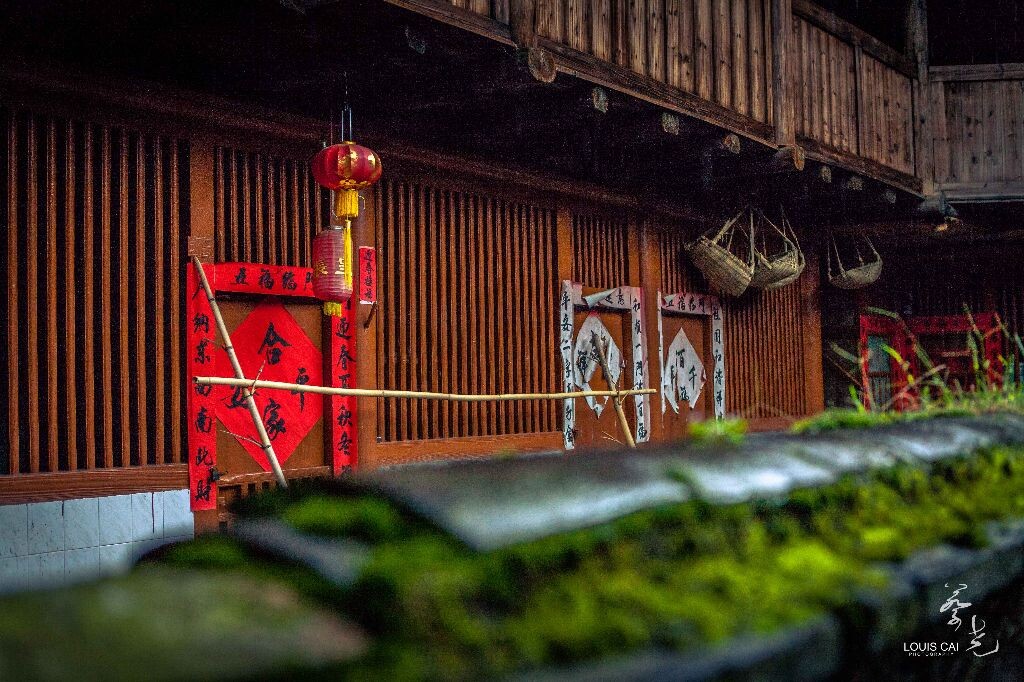 牆上的苔蘚<br />
福建漳州南靖塔下村土樓