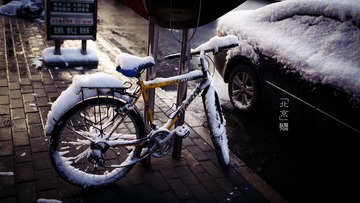 _DSC9106.jpg