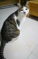 1871176