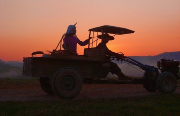 S6001332.jpg