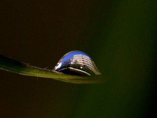 DSCF9043.jpg