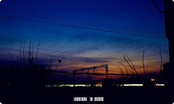 IMG_6445_副本.jpg