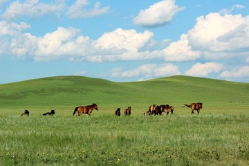 IMG_1266.JPG