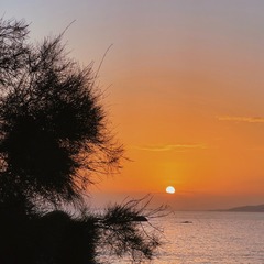 73D4575D-D2E0-426B-8CD7-C07E74EBDB26/L0/001