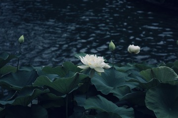 001