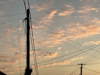 792E0340-E4E5-4111-BB1D-8F8A8E9ED5F4/L0/001