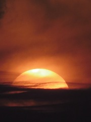 971127A1-652E-417B-B8FA-8D295F094471/L0/001