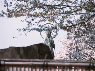 D98700EB-8C55-47BD-965B-BC4E49D66801/L0/001