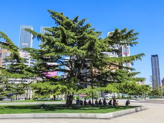0C29C0F2-BBD9-4951-9D8D-E148B2C902C1/L0/001