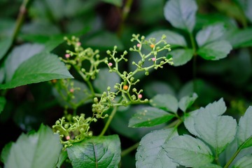 714C4E2A-5AE9-4BC4-AD8A-24A1C485D97F/L0/001