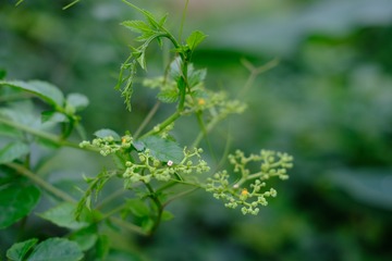 EAD5073E-0946-463B-80D0-EC1290E5E025/L0/001