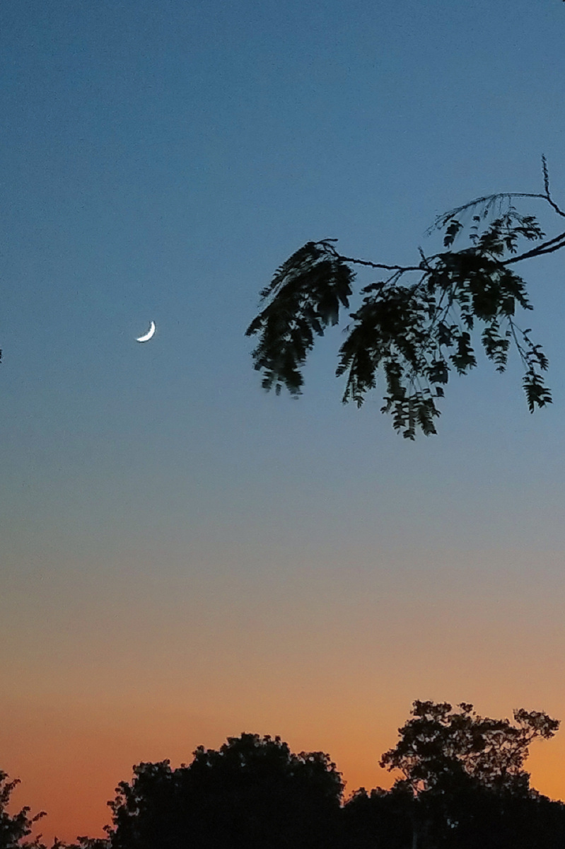 月上柳梢头人约黄昏后