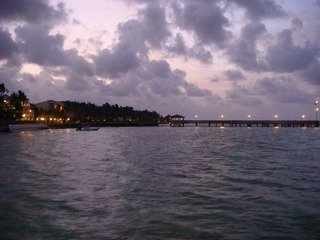 DSC04880.JPG