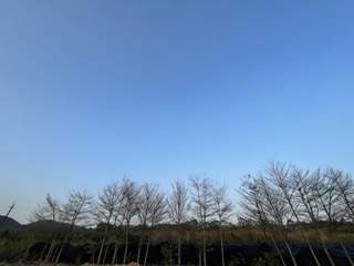 3868518D-FD9C-44BB-9905-79E939F048EA/L0/001