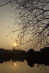 _IGP2537.JPG