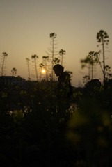 _IGP2543.JPG