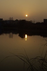 _IGP2552.JPG