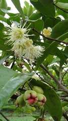 DSC02411.JPG