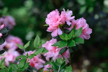 03D5D297-866B-467D-BFD7-FD4FF75D36AF/L0/001