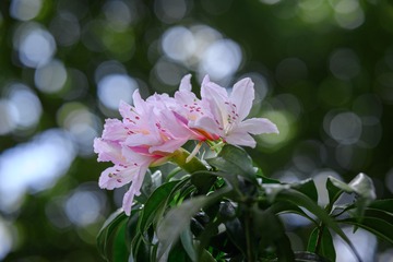91917C4D-71BF-471A-8051-60D0DAB2CB9A/L0/001