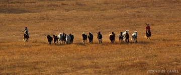 DSC_0686.jpg