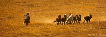 DSC_0690.jpg