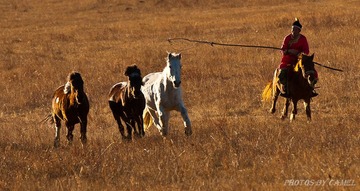 DSC_0701.jpg