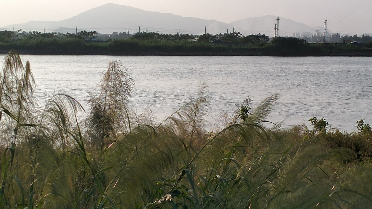 《河堤随拍》——吹吹风