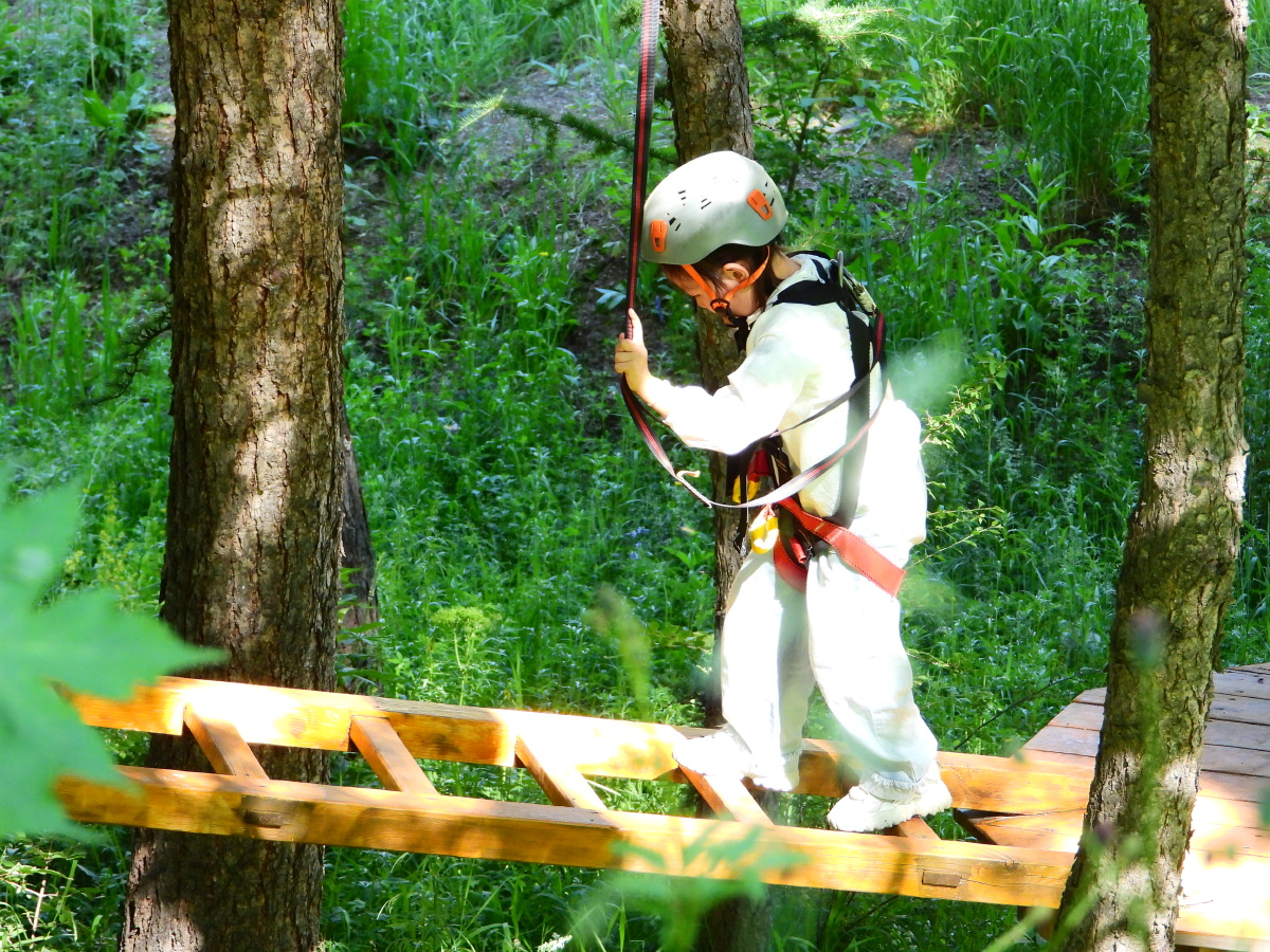 丛林中探索的孩子们