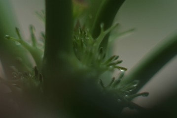 1503324
