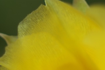 1501554