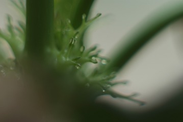 1501541