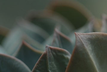 1505148