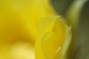 1501551