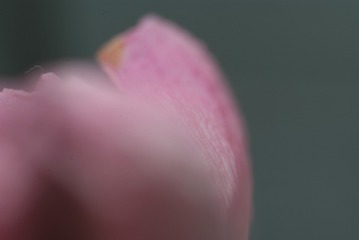 1497518