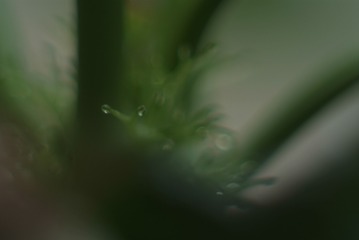 1501538
