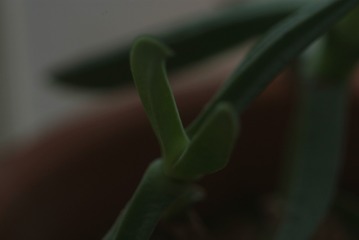 1505152