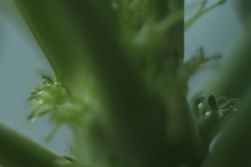 1501542