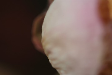 1499384