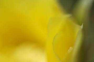 1501558