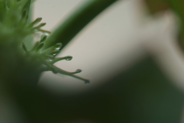 1501539