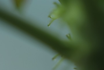1501543