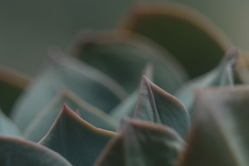 1505147