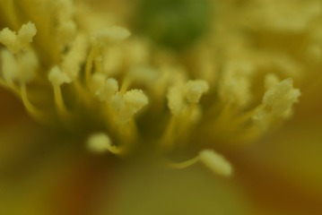 1503340