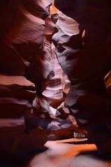 DSC_2953.jpg