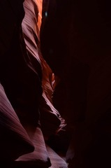 DSC_2970.jpg